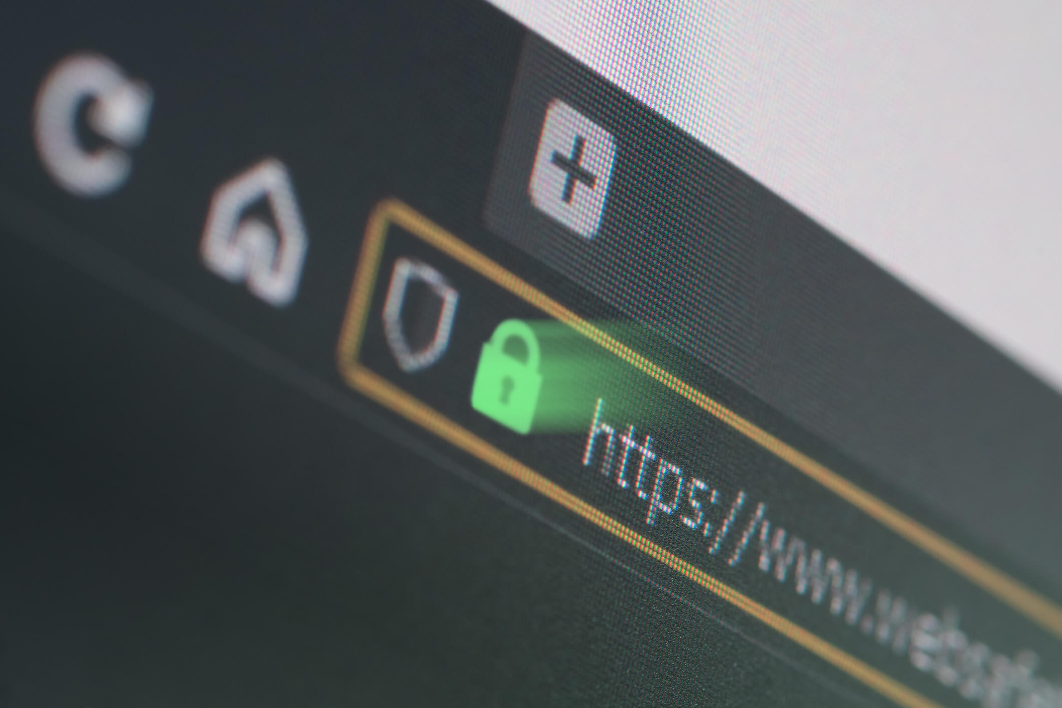 Is WordPress Secure? What the Security Data Shows